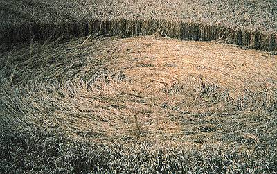 headbourne82s.jpg (42946 bytes)