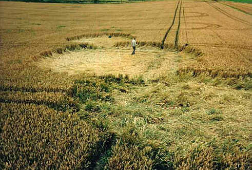 Brattoncastle87c.jpg (40691 bytes)