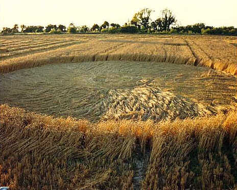 Winterbourne89.jpg (40063 bytes)