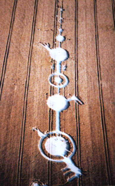 wpeFD.jpg (36028 bytes)