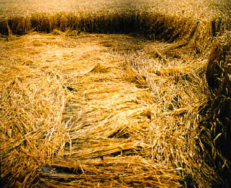 bourton90.jpg (32194 bytes)