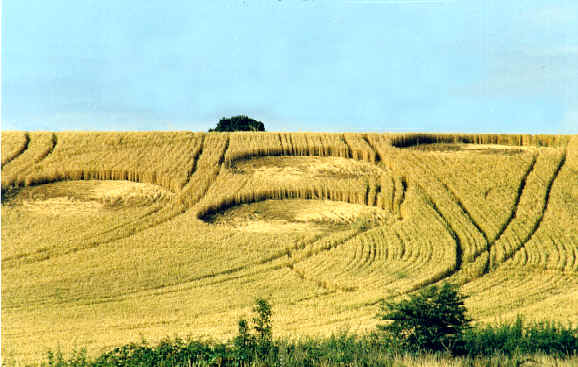 bramcote90.jpg (32108 bytes)