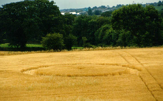 swafield90.jpg (28407 bytes)