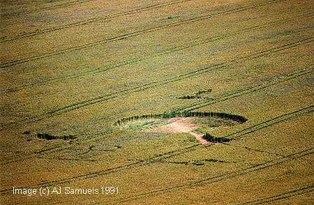 eastfield91.jpg (33521 bytes)