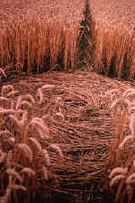 mandelbrot91b.jpg (31659 bytes)