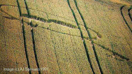 ogbourne91.jpg (40303 bytes)