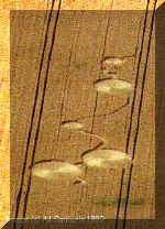 milkhill92.jpg (21093 bytes)