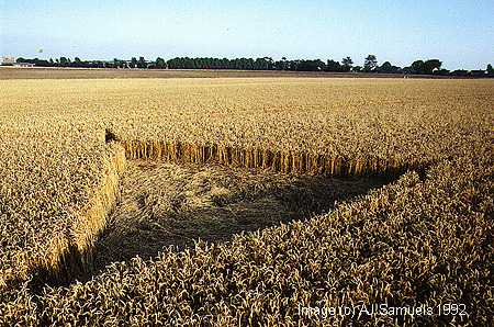 rndway2.jpg (40205 bytes)