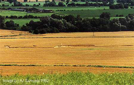 stanton92.jpg (26424 bytes)