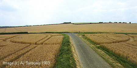 wovertonring93.jpg (16806 bytes)