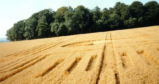 andoverboxes94.jpg (36014 bytes)