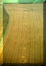 ashbury94a.jpg (31404 bytes)