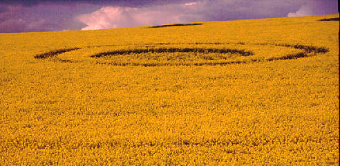 aveburydown94a.jpg (37397 bytes)