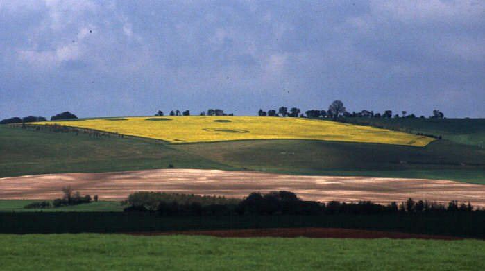 aveburydown94b.jpg (34270 bytes)