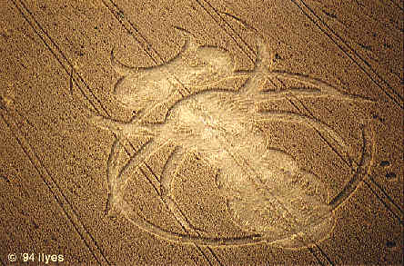 bee94a.jpg (32445 bytes)