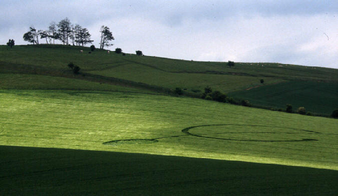 cherhill94a.jpg (38205 bytes)