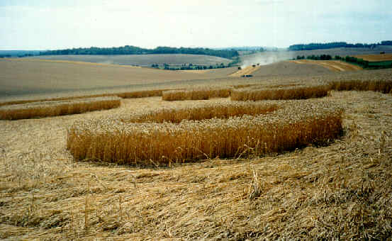 froxfloor94.jpg (31199 bytes)