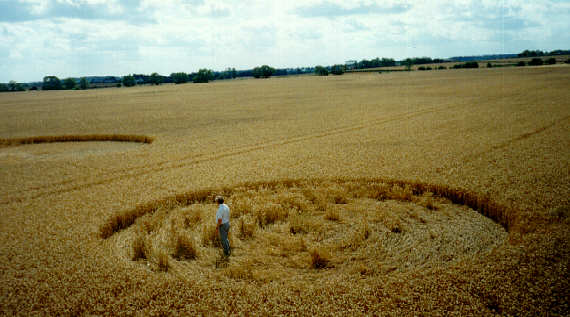 leconfieldpole94a.jpg (32317 bytes)