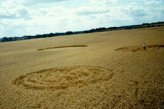 leconfieldpole94b.jpg (30940 bytes)