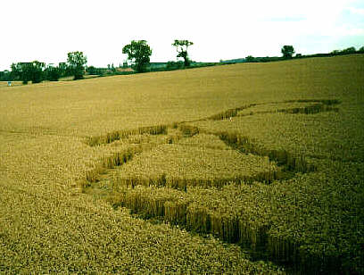 molescroft94b.jpg (29432 bytes)