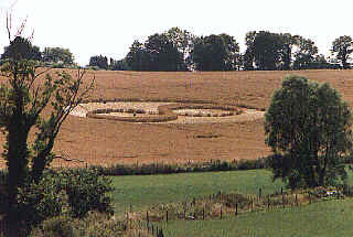 wpe3.jpg (12883 bytes)