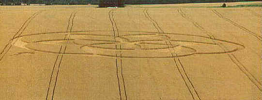 wpe7.jpg (14329 bytes)