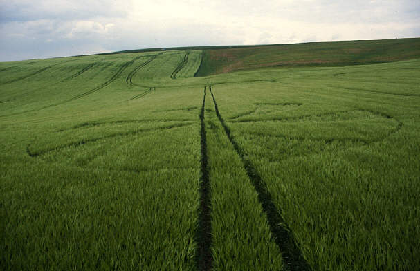 preshutedown94a.jpg (36252 bytes)