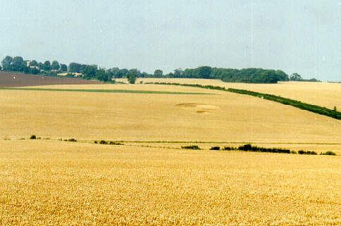 scremby94.jpg (31347 bytes)