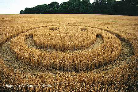 smiley.jpg (38474 bytes)