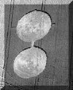 southcave94.jpg (27934 bytes)