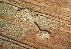 wpeB.jpg (11082 bytes)