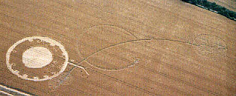 wpeD.jpg (15705 bytes)