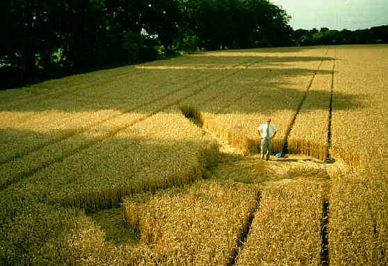 walkington94.jpg (40612 bytes)