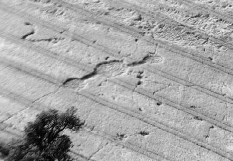 groby96.jpg (22942 bytes)