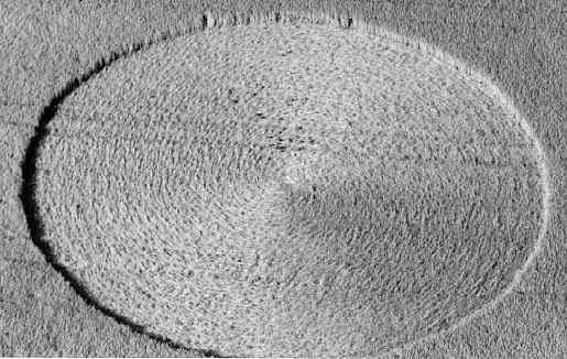 lutteraerial96.jpg (29935 bytes)