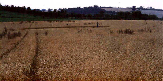 Areley98a.jpg (35085 bytes)