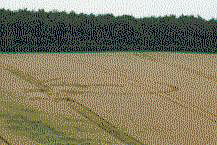 Ashbury98.jpg (18409 bytes)