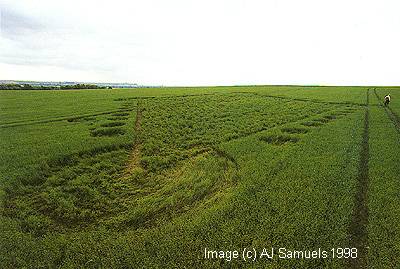 ajlinseed1.jpg (24857 bytes)