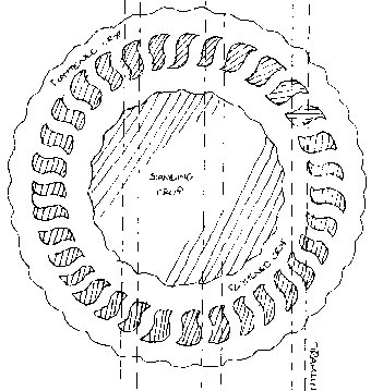 beltanewheel.gif (6552 bytes)