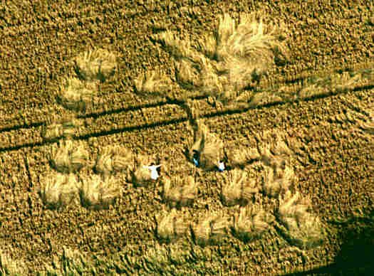 cherhill98.jpg (33871 bytes)