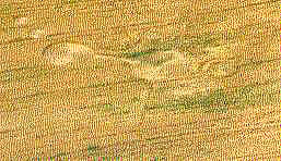 henley98.jpg (18894 bytes)