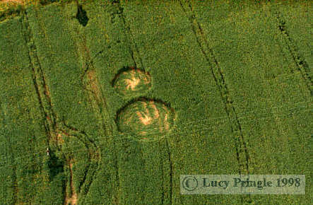 newtonloe5.jpg (33123 bytes)