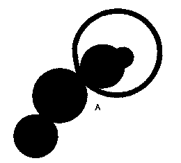 newtonstloe98b.gif (1274 bytes)