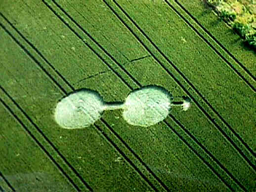 oare98d.jpg (32141 bytes)