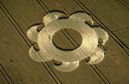 IMG0040.jpg (38778 bytes)