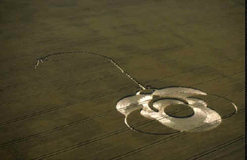 IMG0018.jpg (46170 bytes)