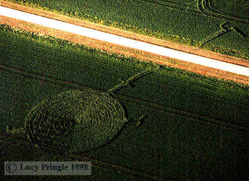 winbass2.jpg (46931 bytes)