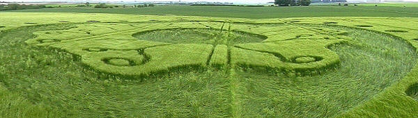 aveburytrusloewideb.jpg (58715 bytes)