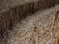 99BCSerpent LPath,top-SMize2.jpg (46057 bytes)