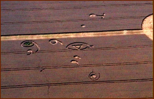 GarbageinBasketFieldTWK.jpg (33445 bytes)